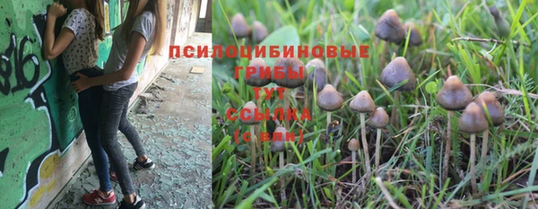 кокс Няндома