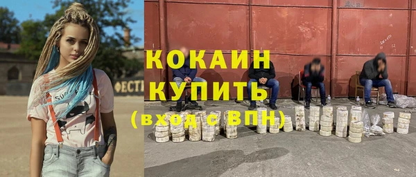 кокс Няндома